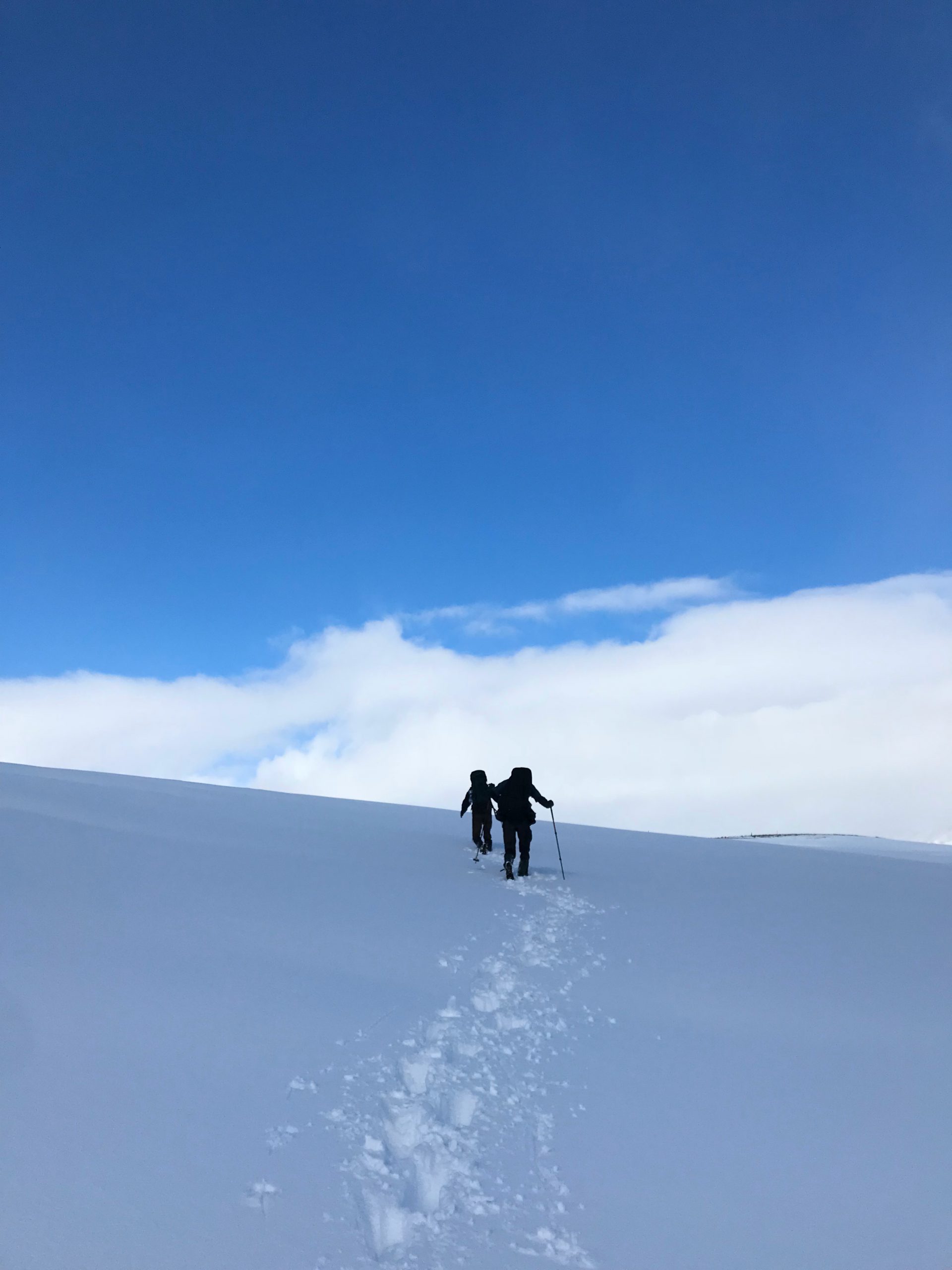 Laugavegur trail in Iceland