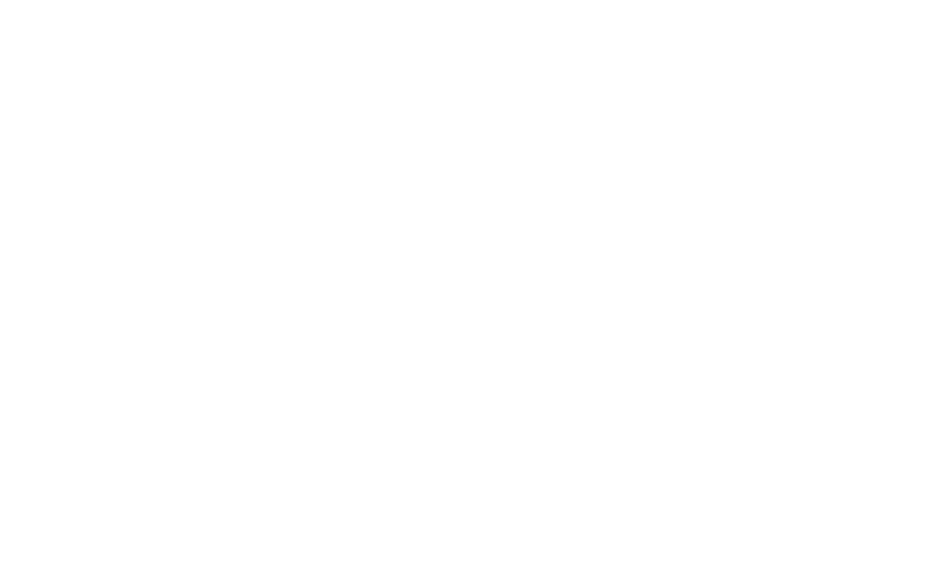 Boondoggle Agency